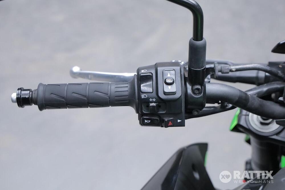 Kawasaki Z 900 (2021 - 24) (5)