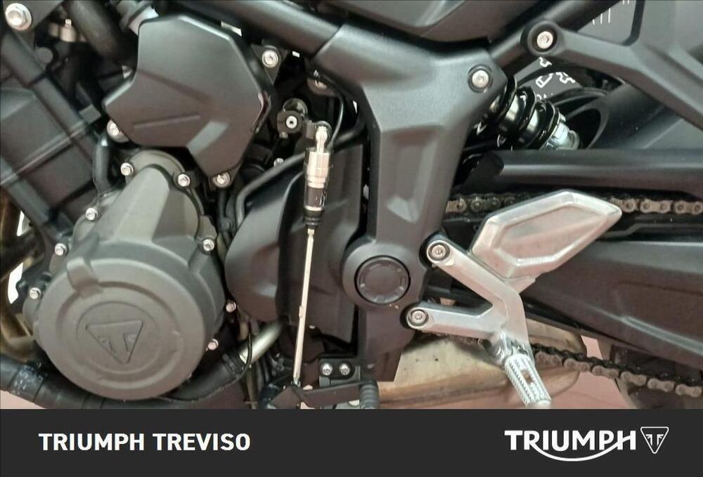 Triumph Trident 660 (2021 - 24) (3)