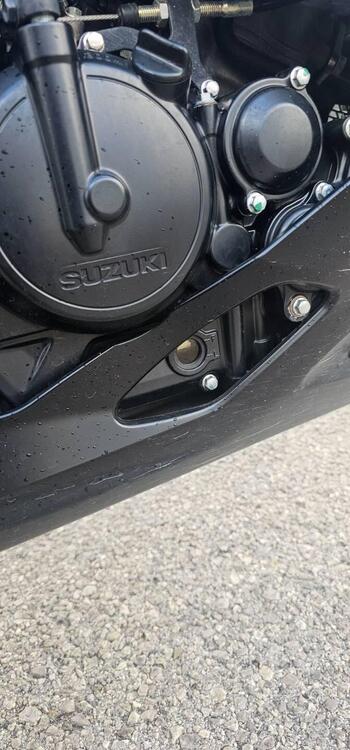 Suzuki GSX R 125 (2017 - 20) (3)