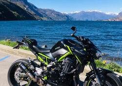 Kawasaki Z 900 (2021 - 24) usata