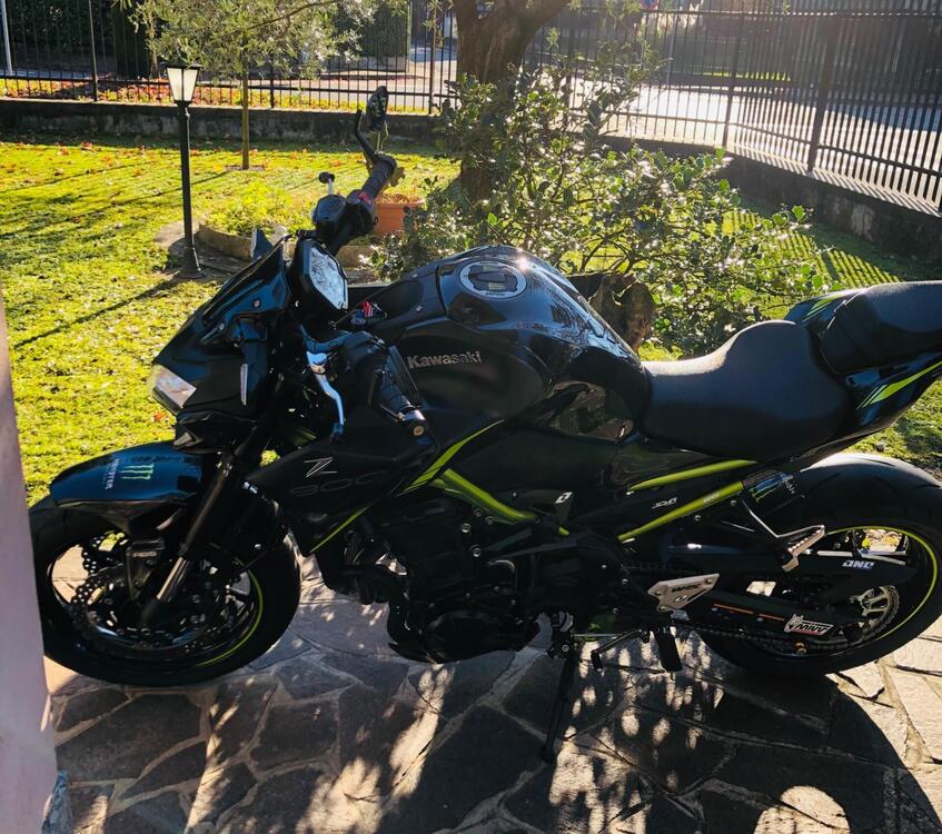 Kawasaki Z 900 (2021 - 24) (3)