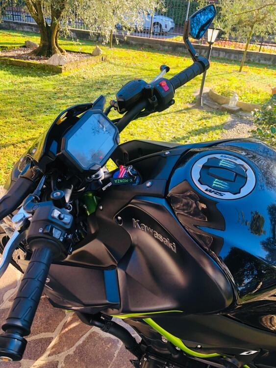 Kawasaki Z 900 (2021 - 24) (4)