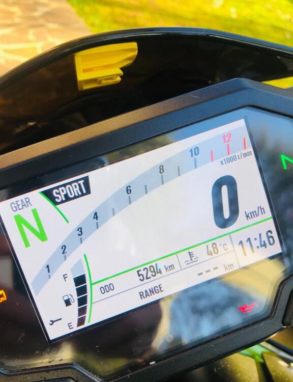 Kawasaki Z 900 (2021 - 24) (5)