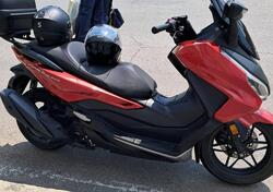 Honda Forza 350 (2022 - 24) usata
