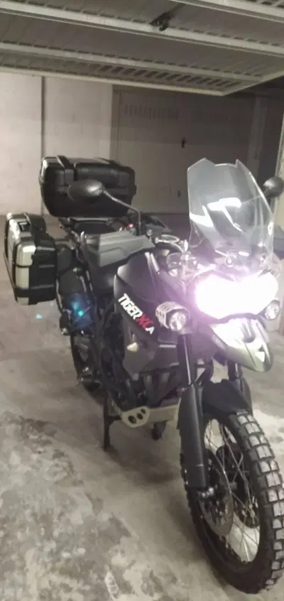 Triumph Tiger 800 XCa (2015 - 17) usata