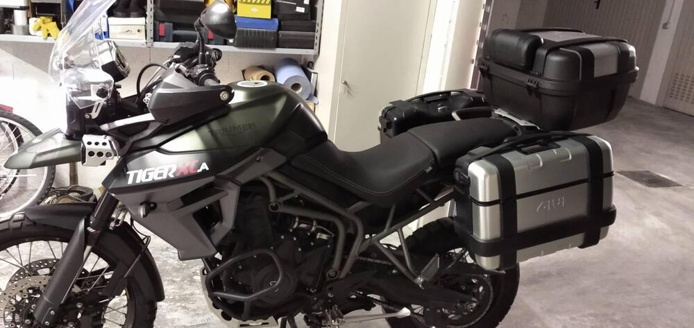 Triumph Tiger 800 XCa (2015 - 17) (2)