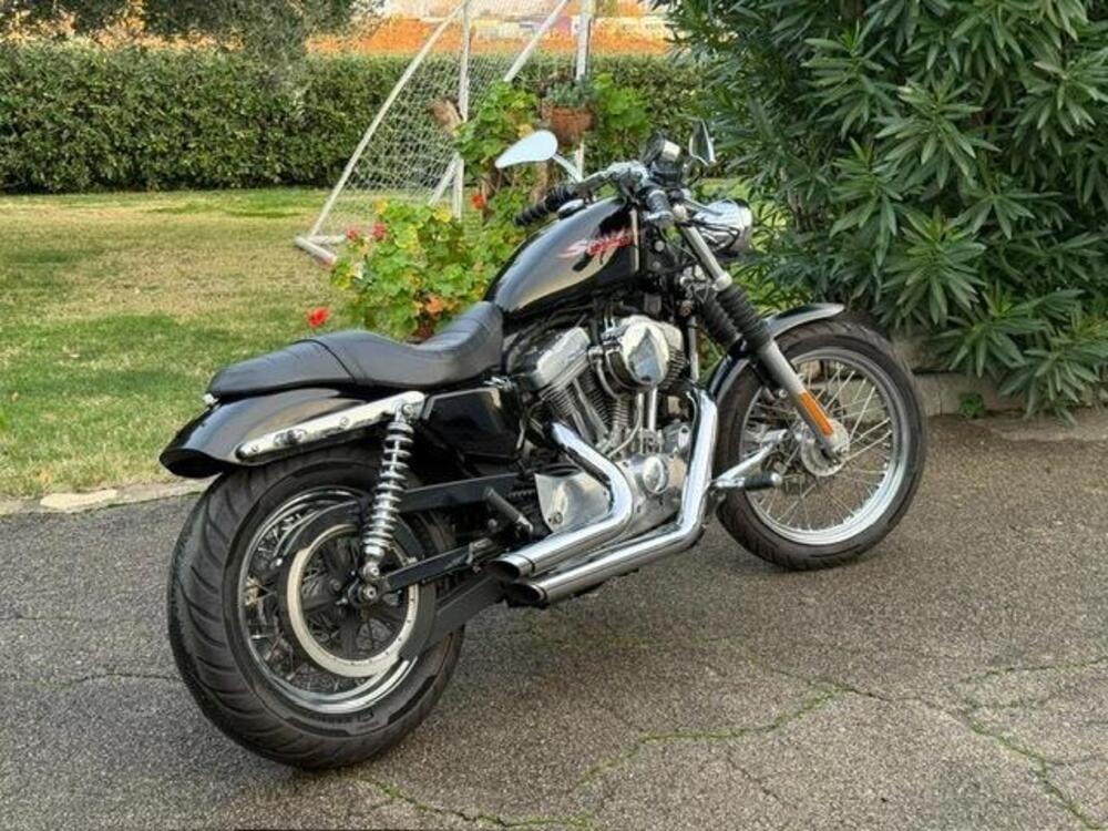 Harley-Davidson 883 (2006 - 07) - XL (4)