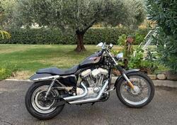 Harley-Davidson 883 (2006 - 07) - XL usata