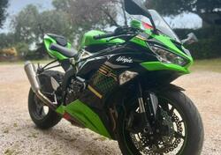 Kawasaki Ninja 636 ZX-6R KRT (2019 - 20) usata