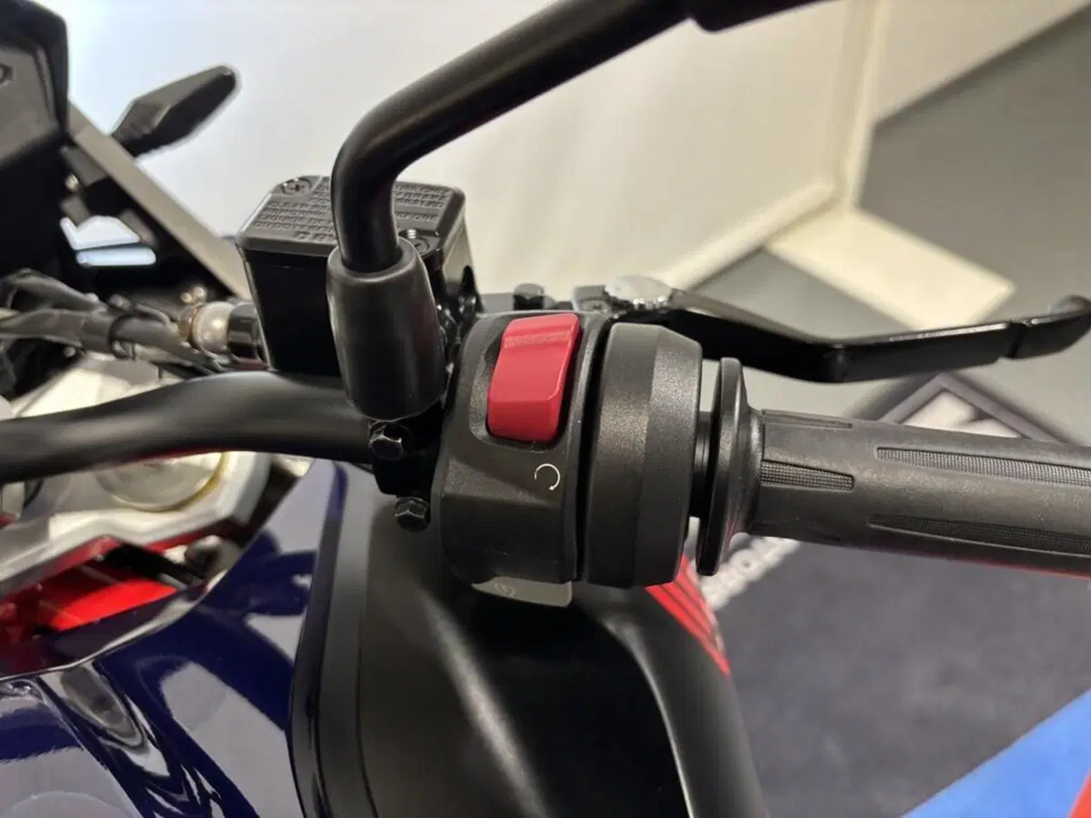 Bmw G 310 GS (2021 - 25) (8)
