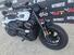 Harley-Davidson Sportster S (2022 - 24) (6)