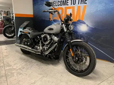 Harley-Davidson Street Bob 117 (2025 - 26) usata