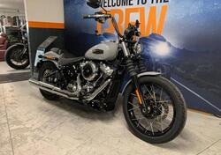 Harley-Davidson Street Bob 117 (2025) usata
