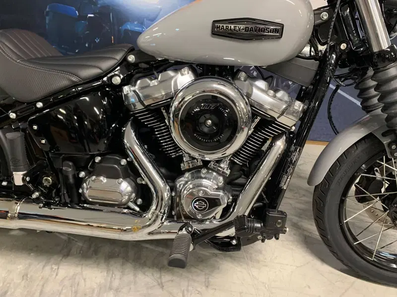 Harley-Davidson Street Bob 117 (2025 - 26) (2)