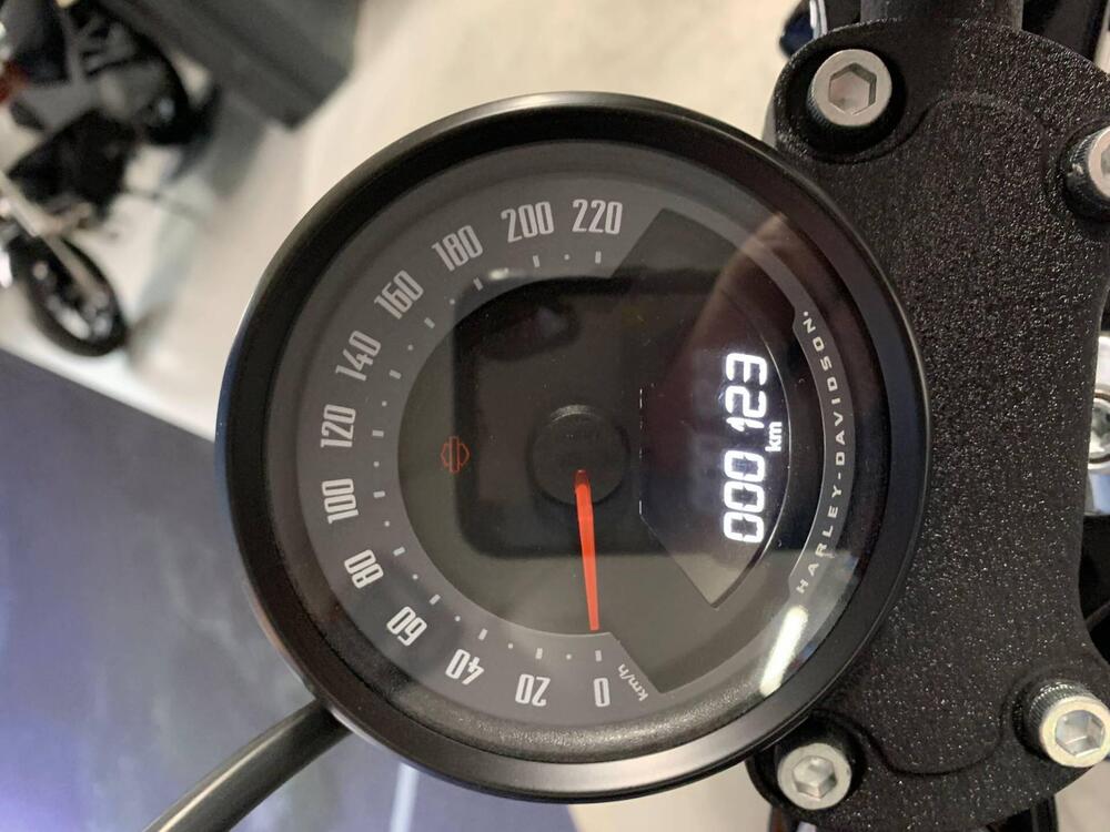 Harley-Davidson Street Bob 117 (2025) (5)