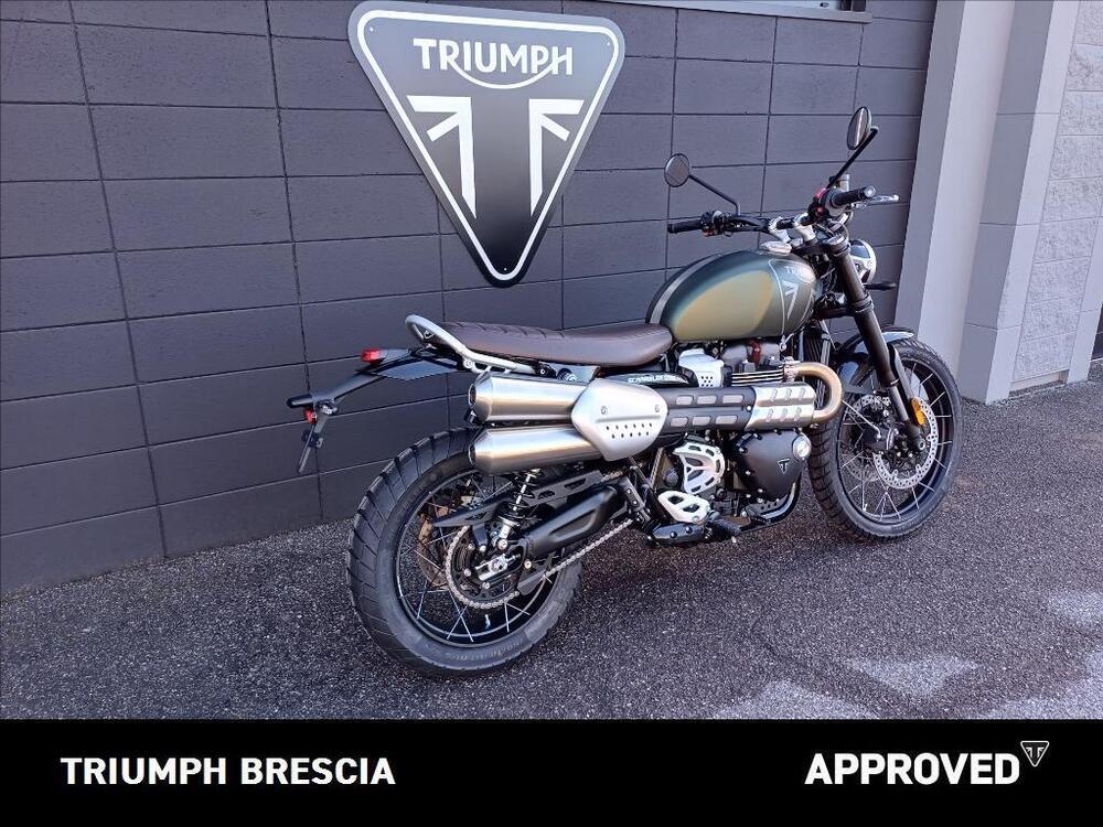 Triumph Scrambler 1200 X (2024 - 25) (3)