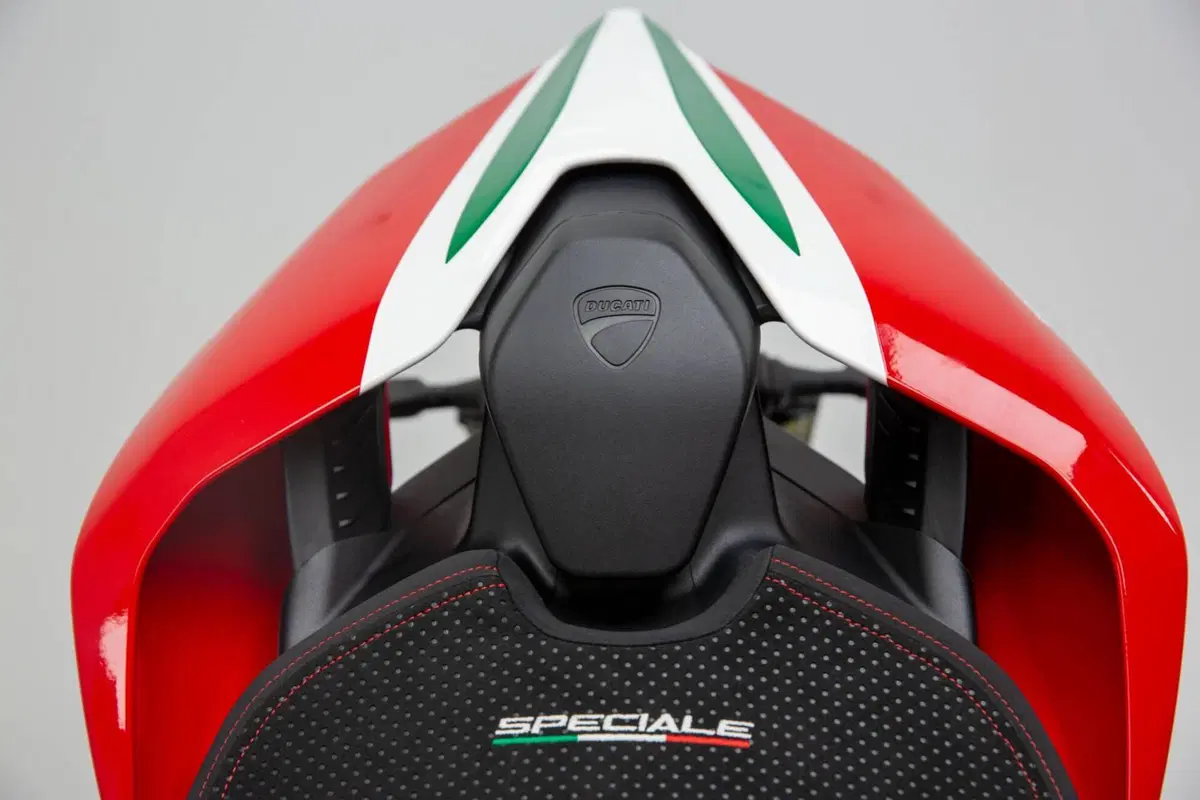Ducati Panigale V4 Speciale 1100 (2018 - 19) (13)
