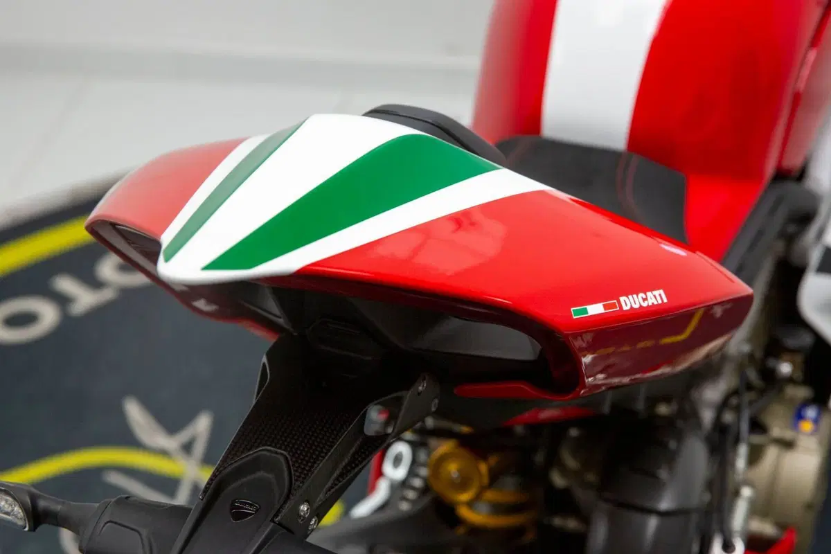 Ducati Panigale V4 Speciale 1100 (2018 - 19) (15)