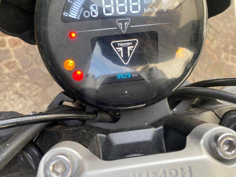 Triumph Trident 660 (2021 - 24) (3)