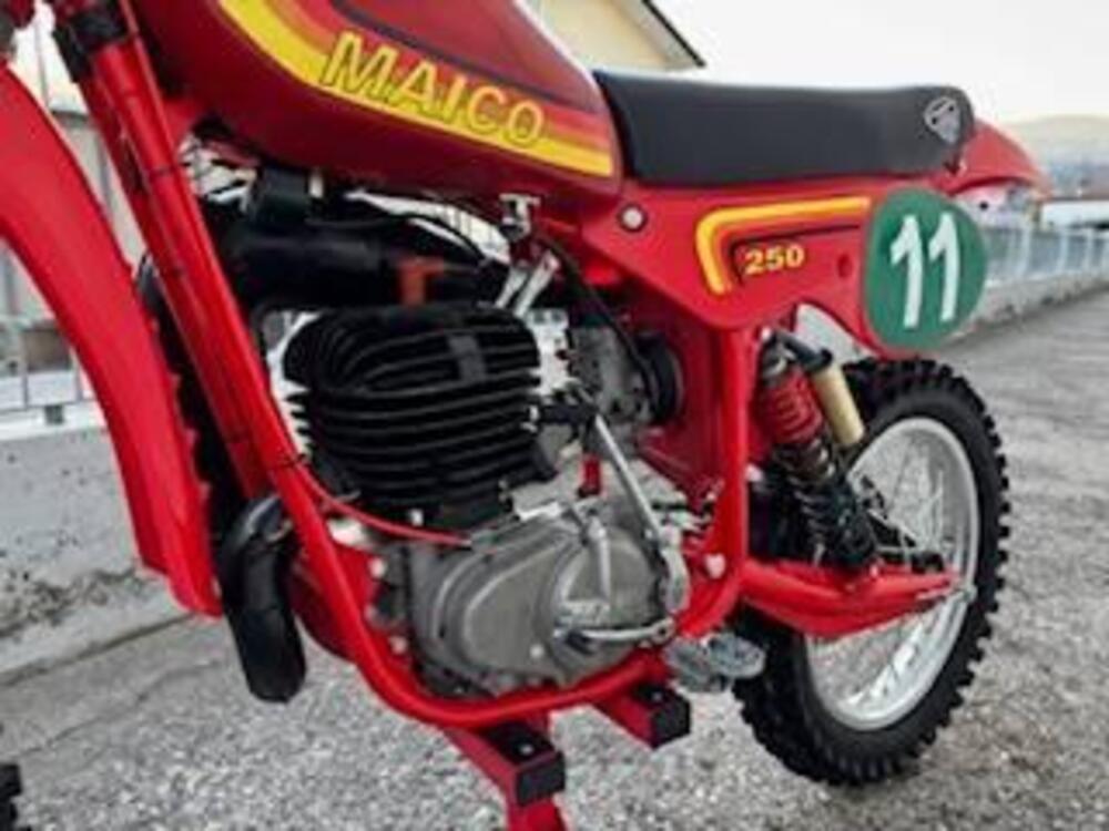 Maico mc 250 (5)
