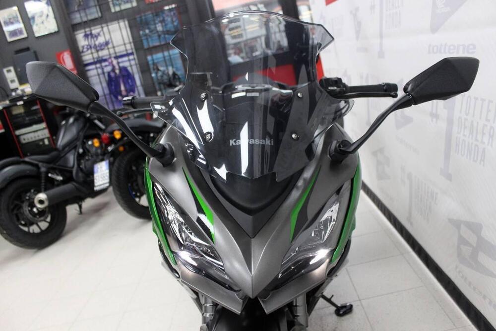 Kawasaki Ninja 1000 SX (2021 - 24) (4)
