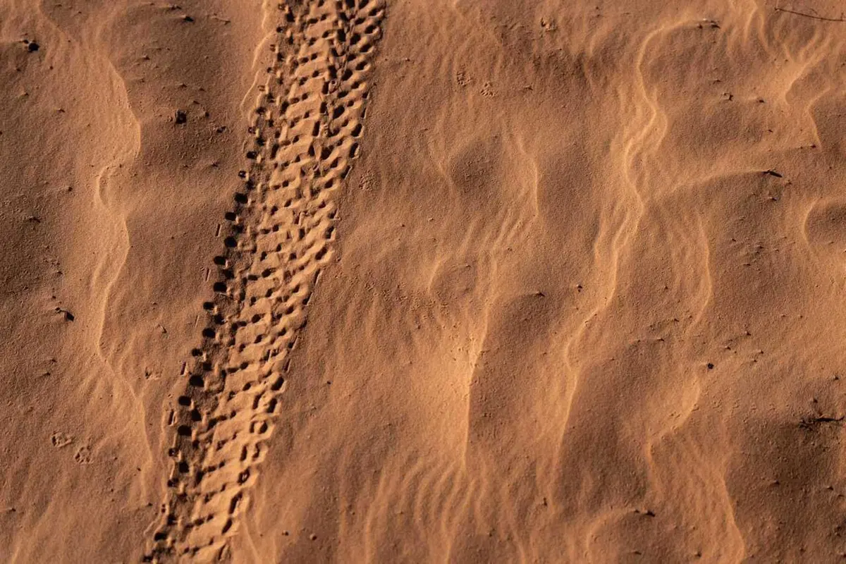 Tembaine Desert Rally 2025, quarto giorno: quando il Sahara ti cambia dentro (27)