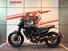Ducati Scrambler 800 Nightshift (2023 - 25) (13)