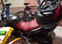 Moto Guzzi Breva V 1100 i.e. usata