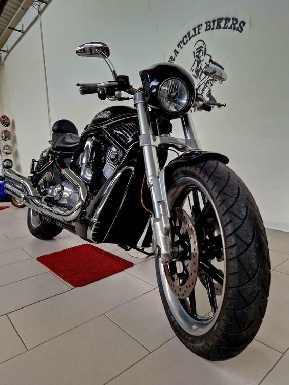 Harley-Davidson 1130 Street Rod (2006 - 07) - VRSCR (2)