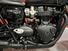 Triumph Bonneville T120 Gold Line Edition (2022 - 23) (12)