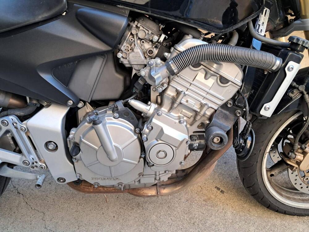 Honda Hornet 600 (2005 - 06) (4)