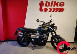 Triumph Street Scrambler 900 (2017 - 18) usata