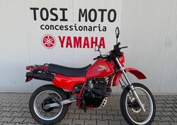 Honda XL 600 (1983 - 89) usata