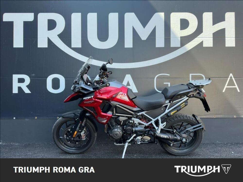 Triumph Tiger 1200 GT Pro (2024 - 25) (2)