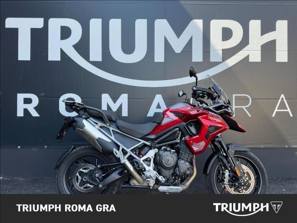 Triumph Tiger 1200 GT Pro (2024 - 25)