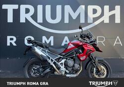 Triumph Tiger 1200 GT Pro (2024 - 25) usata