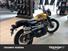 Triumph Scrambler 900 (2023 - 25) (6)