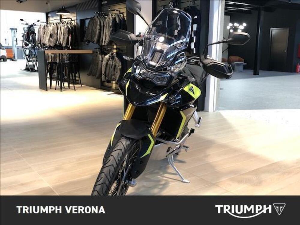 Triumph Tiger 900 Rally Pro (2024 - 25) (3)