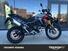 Triumph Tiger 900 Rally Pro (2024 - 25) (6)