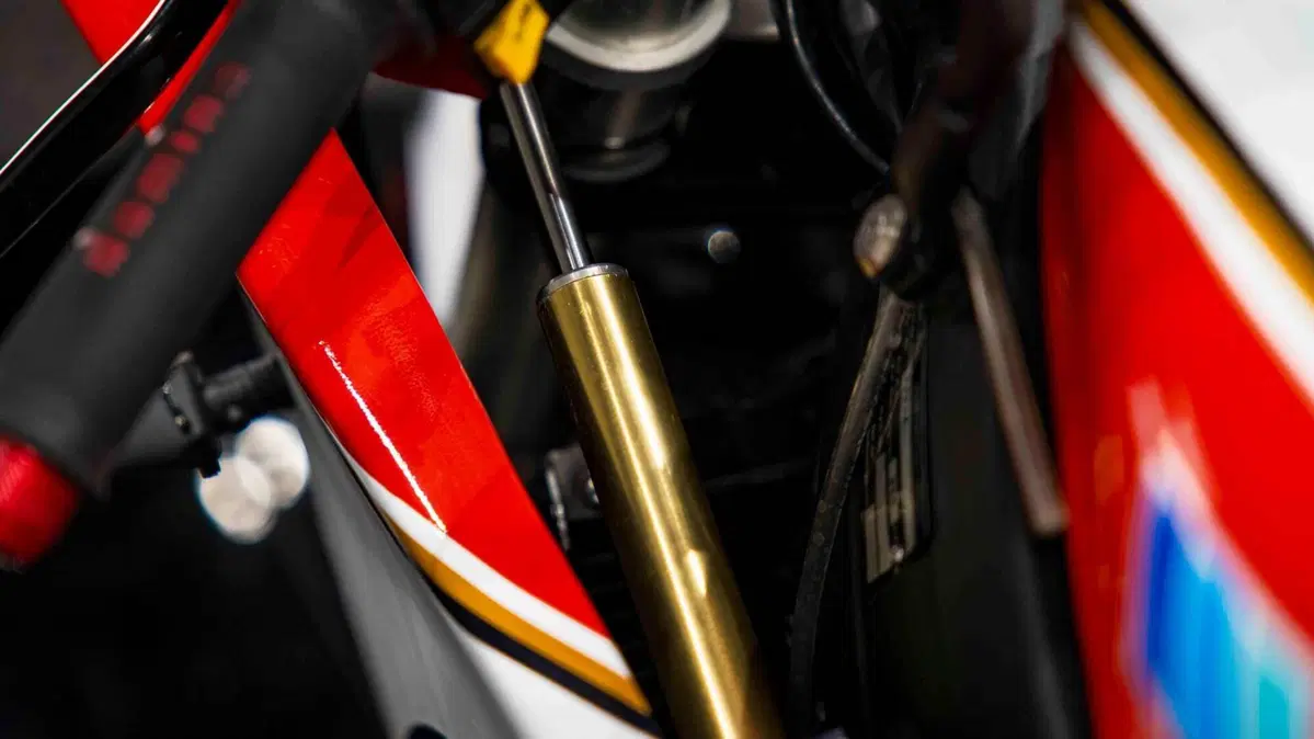 Suzuki RGV 250 GAMMA (18)