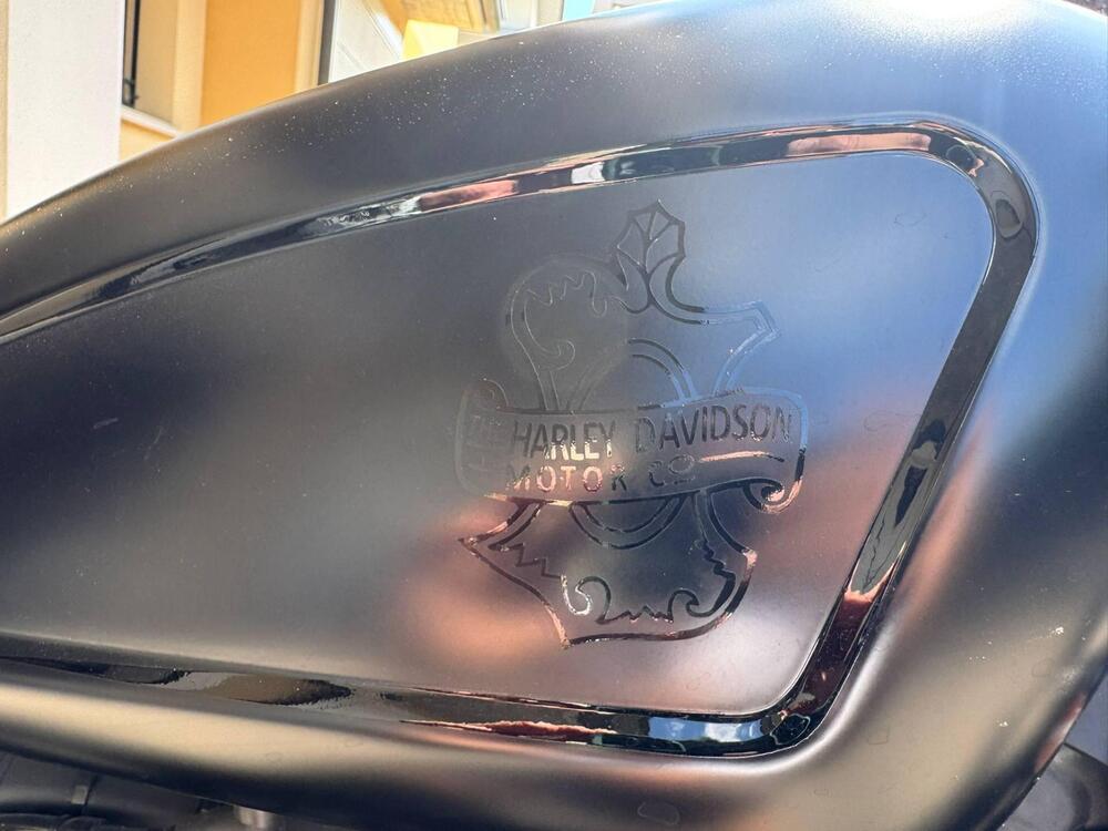 Harley-Davidson 1200 Forty-Eight Special (2018 - 20) (2)