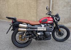 Triumph Street Scrambler 900 (2017 - 18) usata
