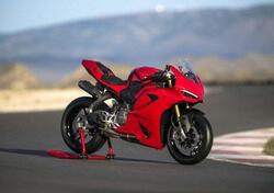 Ducati Panigale V2 (2025) usata