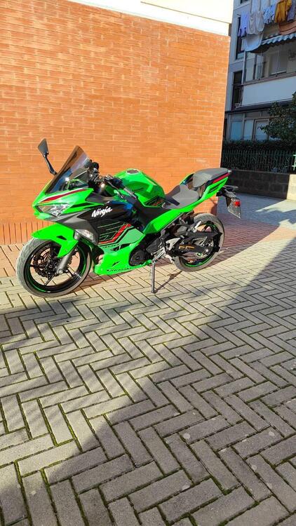 Kawasaki Ninja 400 (2023) (3)