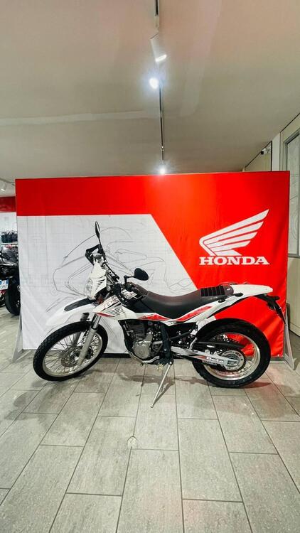 Betamotor Alp 4.0 (2008 - 17)