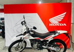 Betamotor Alp 4.0 (2008 - 17) usata