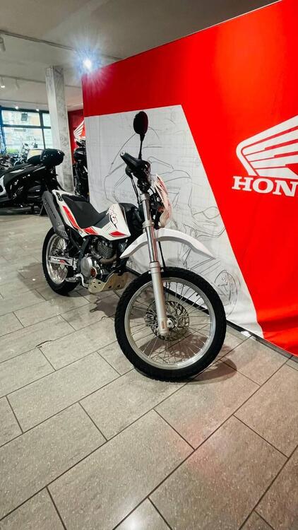 Betamotor Alp 4.0 (2008 - 17) (3)