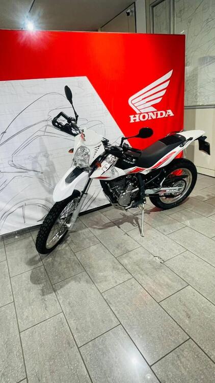 Betamotor Alp 4.0 (2008 - 17) (4)