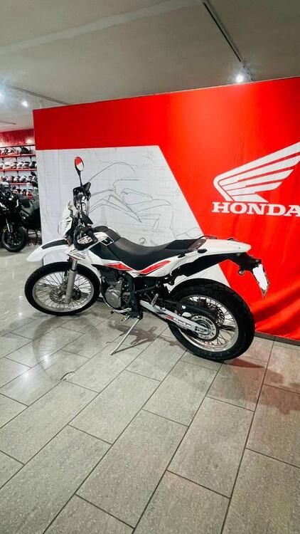 Betamotor Alp 4.0 (2008 - 17) (5)