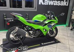 Kawasaki Ninja 500 SE (2024 - 26) nuova